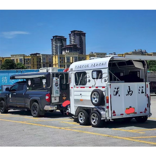 德州两马位马车